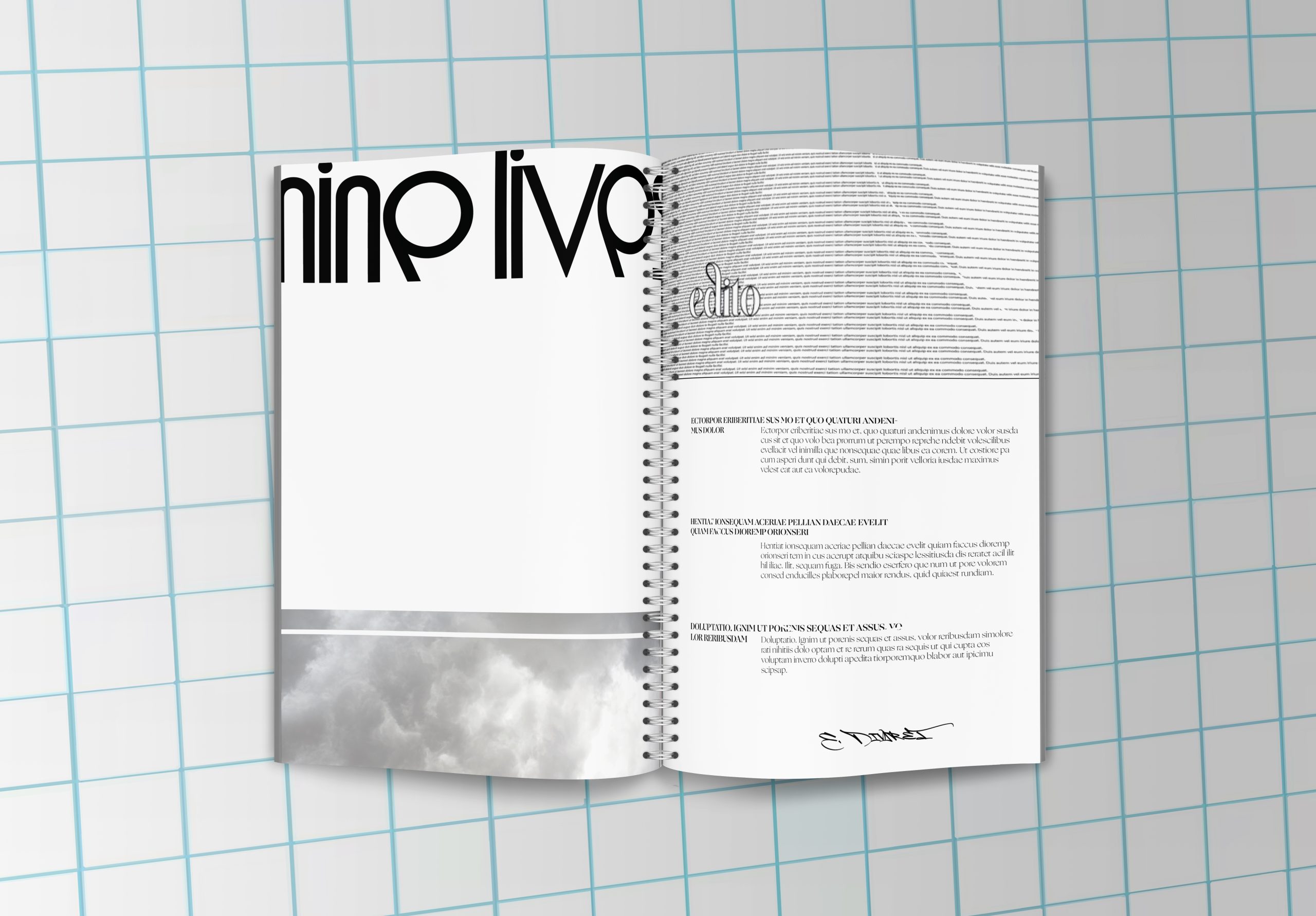 mockup-nin-lives-2