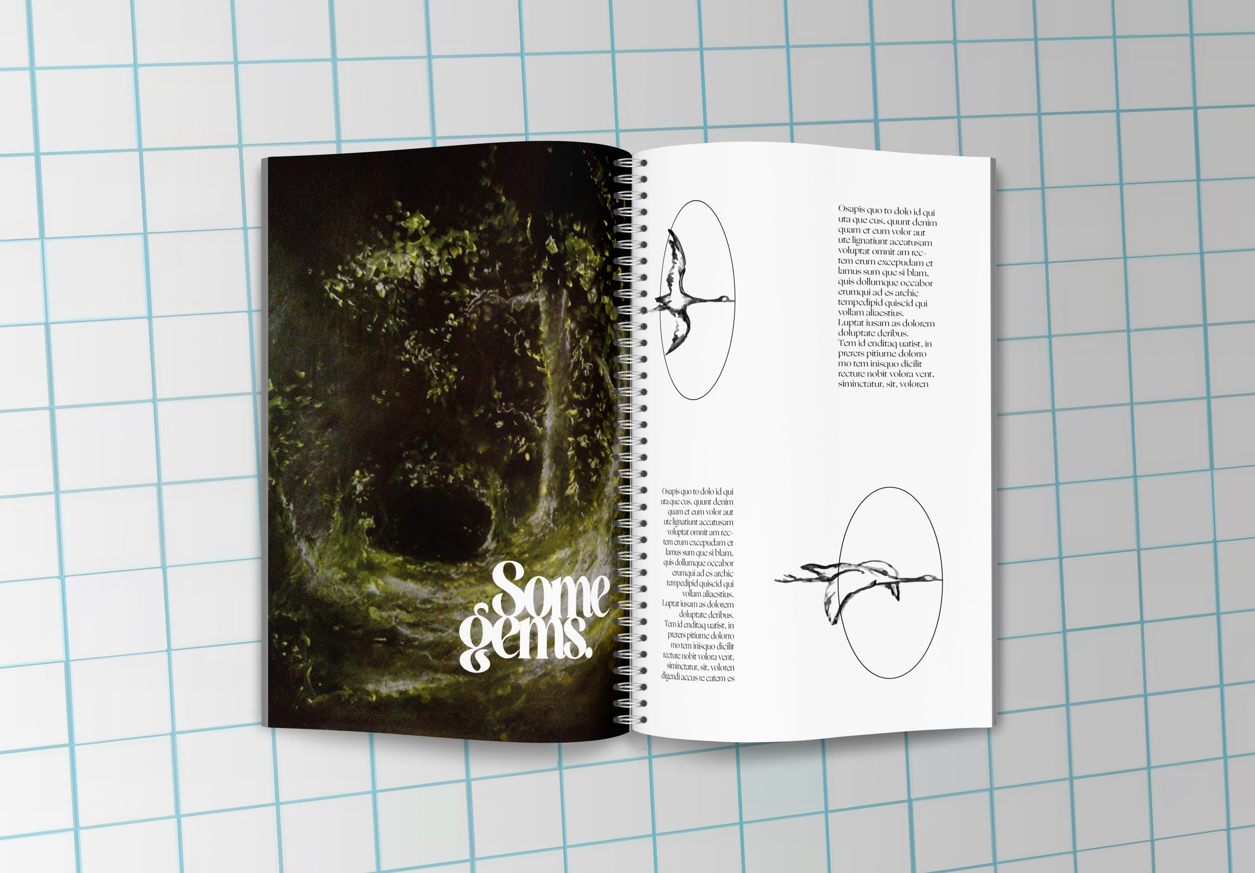 mockup-nin-lives-4