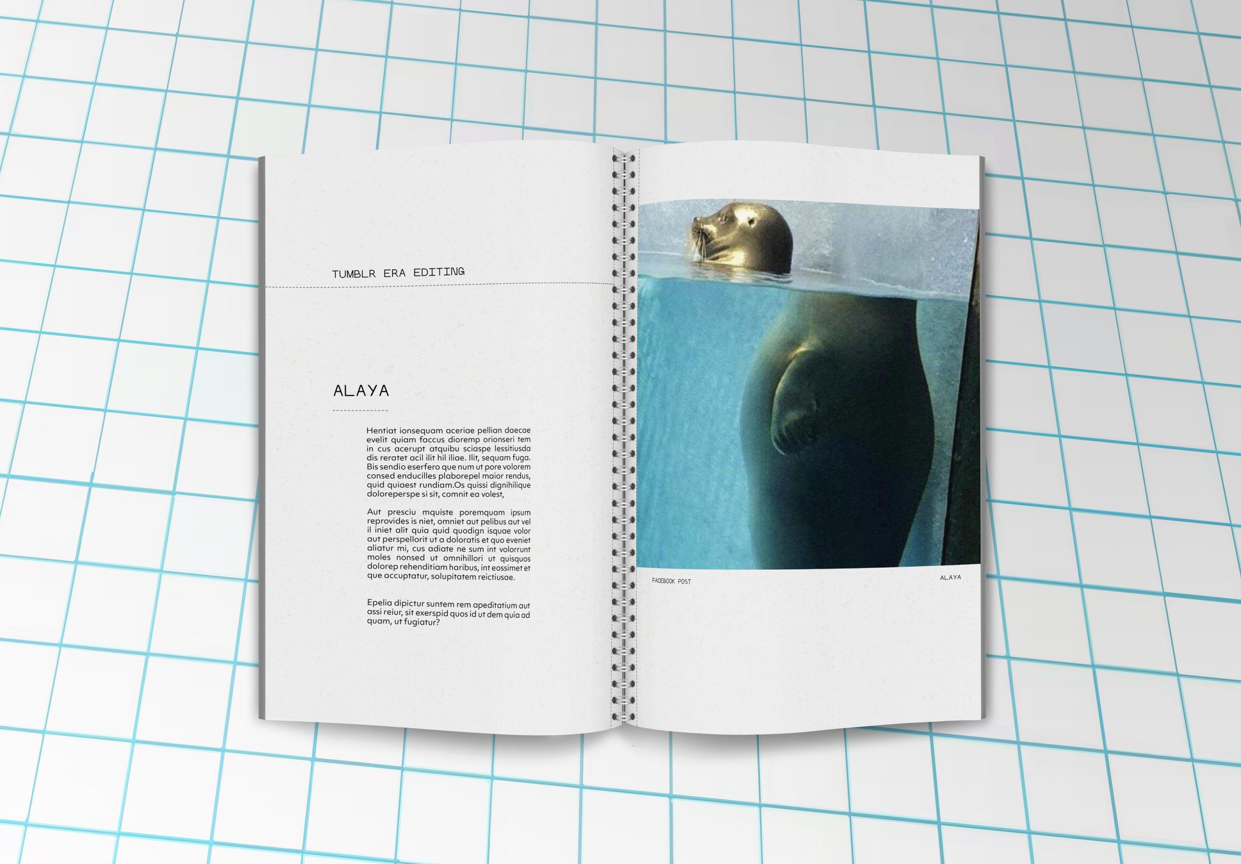 mockup-nin-lives-6